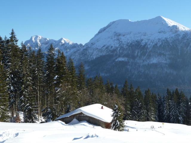 Gaestehaus Inzeller Hof Dış mekan fotoğraf