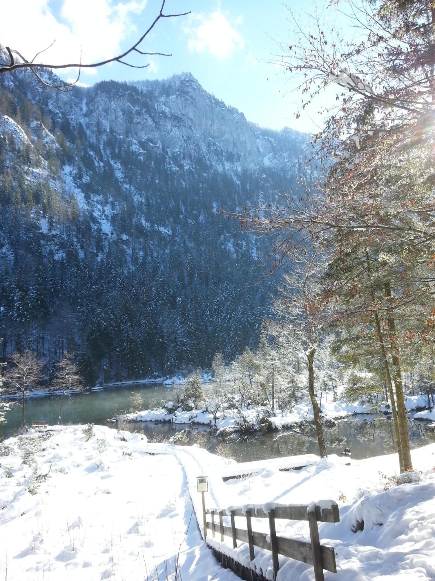 Gaestehaus Inzeller Hof Dış mekan fotoğraf